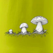 Životní cyklus hřibu