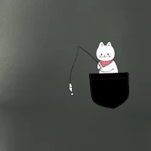 Kočka s rybou v kapse