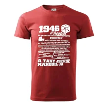 1946 v kostce