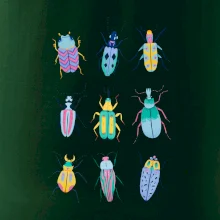 Barevní brouci (studio-arte.cz)