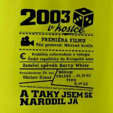 2003 v kostce