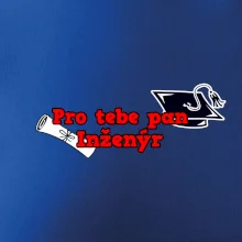 Pro tebe pan Inženýr