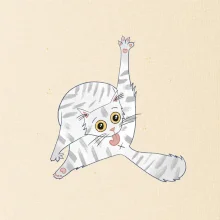 Kočka čistotná (studio-arte.cz)