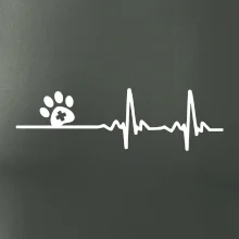 Veterinář EKG