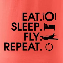 Eat sleep fly repeat