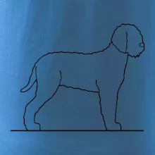 Lagotto romagnolo stojící