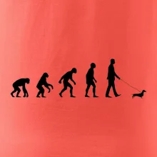 Jezevčík Evoluce muž / žena