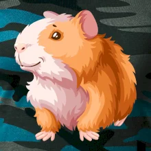 Morče - kreslené, bílo oranžové