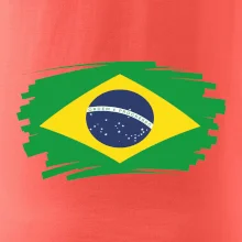 Brazílie vlajka štětkou