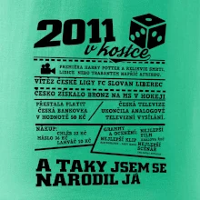 2011 v kostce