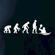 Evoluce Vodní pólo