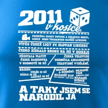 2011 v kostce