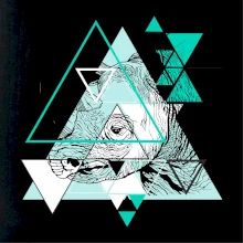 Bílý nosorožec (Pecka design)