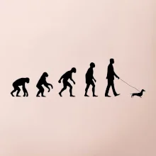 Jezevčík Evoluce muž / žena