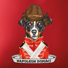 Napoleon domácí pes kříženec