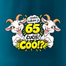 Těmhle holkám je 65, čučíš co?