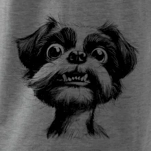 Černobílá karikatura Ši-tzu