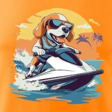 Bígl na vodním skútru