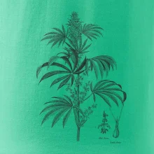 Konopí kytka černobílá