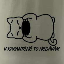 V karanténě to nedávám