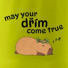 May your dřím come true