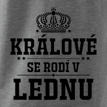 Králové se rodí v lednu