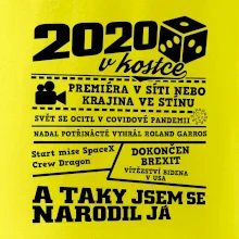 2020 v kostce