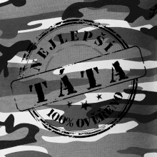 Razítko - nejlepší tatínek