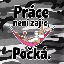 Práce není zajíc, počká.