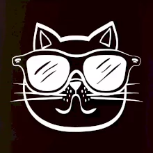 Kočka s brýlemi