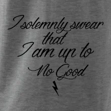 I solemnly swear that I'm up to no good