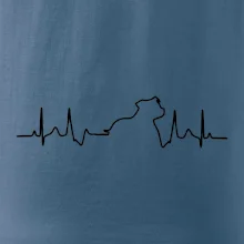 Stafordšírsky bulteriér EKG