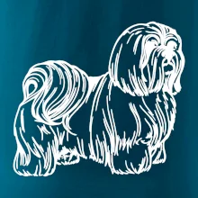 Shih-tzu - chlupatý Shih-tzu - chlupatý