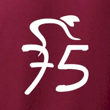 Cyklista slaví pětasedmdesátku (75)