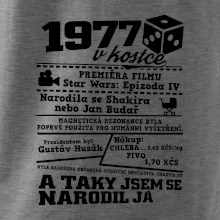 1977 v kostce