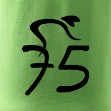 Cyklista slaví pětasedmdesátku (75)