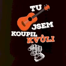 Tu kytaru jsem koupil kvůli tobě