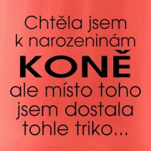 Chtěla jsem dostat k narozeninám koně