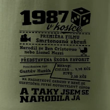 1987 v kostce