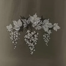 Vinné hrozny šedé