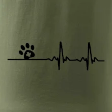 Veterinář EKG