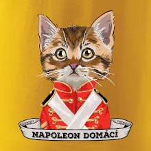 Napoleon domácí kočka