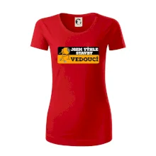 Jsem týhle stavby vedoucí