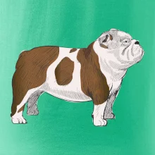 Vintage English bulldog