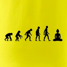 Evoluce budha