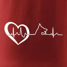 Německý ovčák ekg