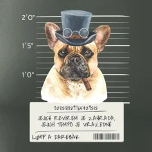 Lump a darebák francouzský buldoček