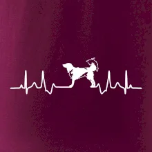 Český strakatý pes EKG