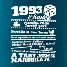 1993 v kostce