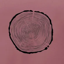 Letokruhy 80 bez věku